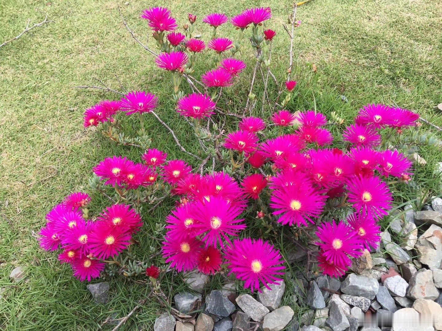 发红包说容易也容易；说难也难 