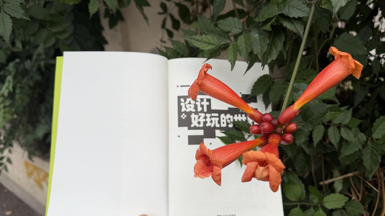 哪个是你熬过的夜、挨过的骂，请对号入座！

老师、家长、专家都说不能打游戏，为什