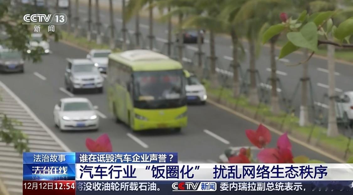 今天央视新闻报道，汽车行业“饭圈化”，扰乱网络生态秩序。以前电车还没火的时候，也