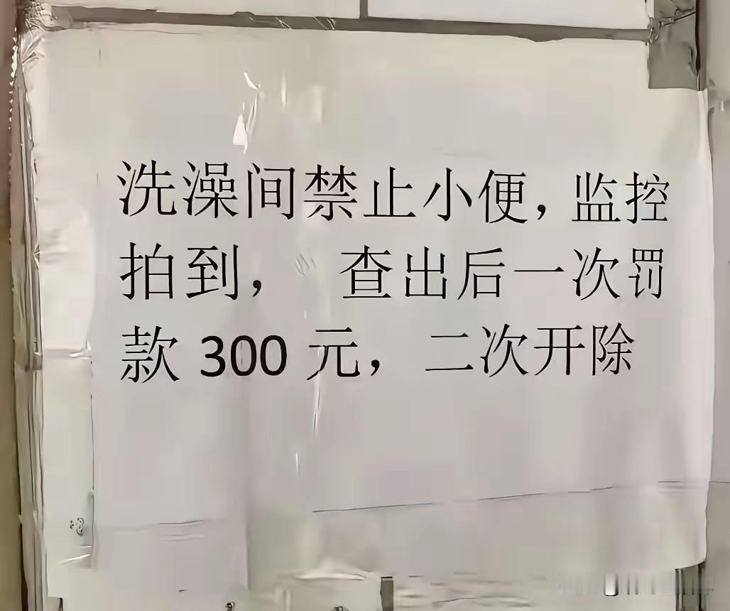 洗澡间安装摄像头，不应该吧？