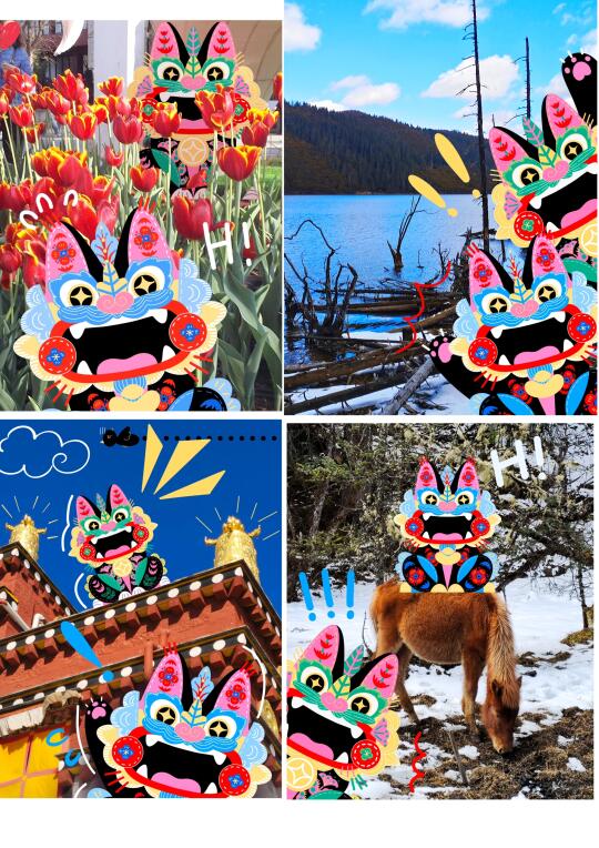 春天带瓦猫去云南！怎么不算拖家带口！🥹