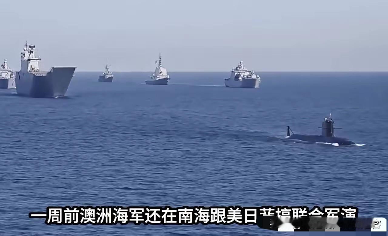 5月19日，澳大利亚总理阿尔巴尼斯宣布，经澳大利亚政府与中方进行磋商，成功从中国