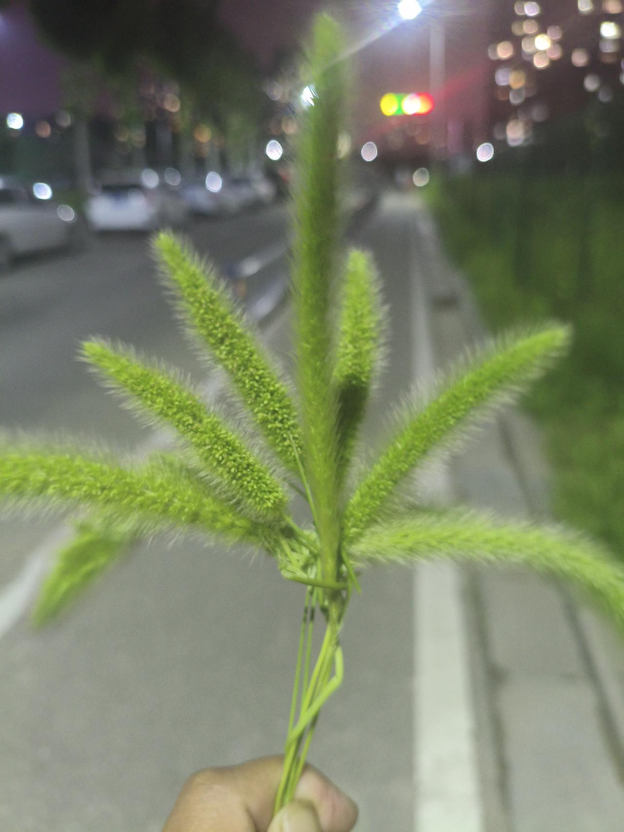 闲翁夜钓，一竿一笠一江月；
暇樵日行，一浆一蓑一烟雨。
来源于“一蓑烟雨任平生”