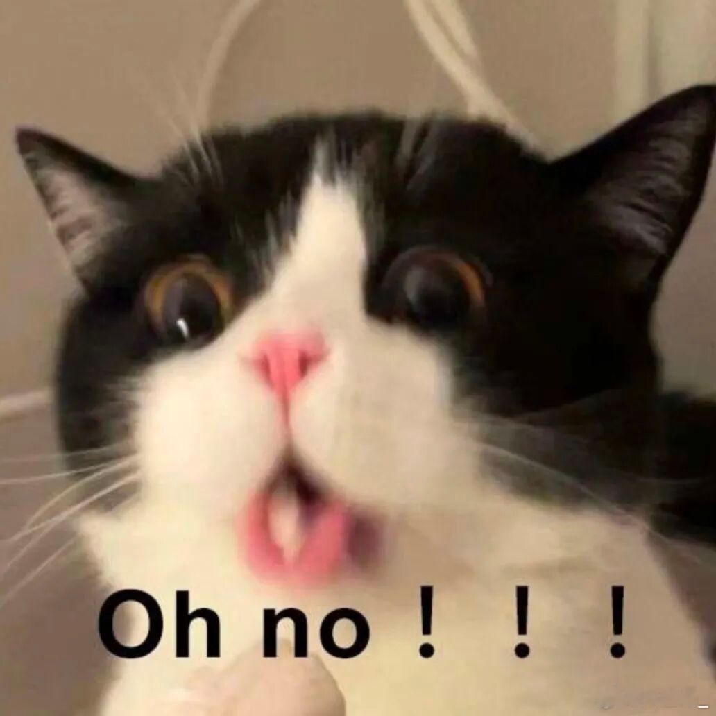 早今儿假期最后一天了广州依旧冻的梆梆的早上这微博咋回事这个iamroosie这么