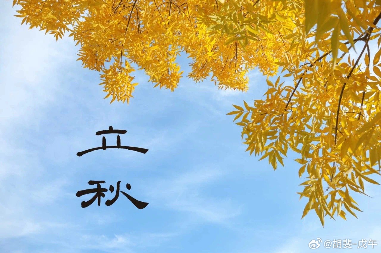 秋，禾谷熟也。立秋十八日，寸草皆结籽。南方水稻抽穗，北方玉米吐丝，大豆开始结荚，