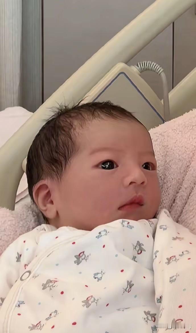刚开始看到这个图片，我还以为郭富城三胎女儿开个特效呢。这小妮子也太会长了，娘胎自