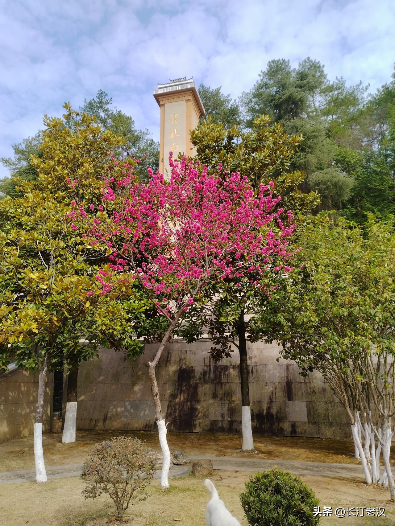 陪孩子写作业真的难，并且老师给的规范太多，太难了。家长不仅要陪孩子做作业，还要辅