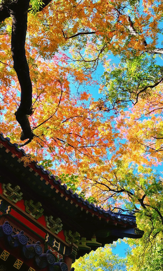 我们说好了秋天在南京见面 南京