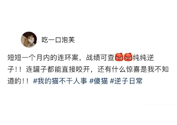 家里没有老鼠时小猫就成了老鼠 ​ ​​​