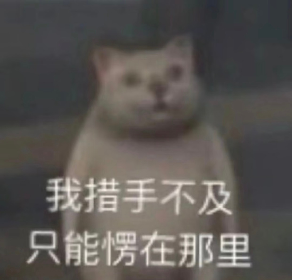 我刚知道韩承羽长啥样   我看过他的好多剧 