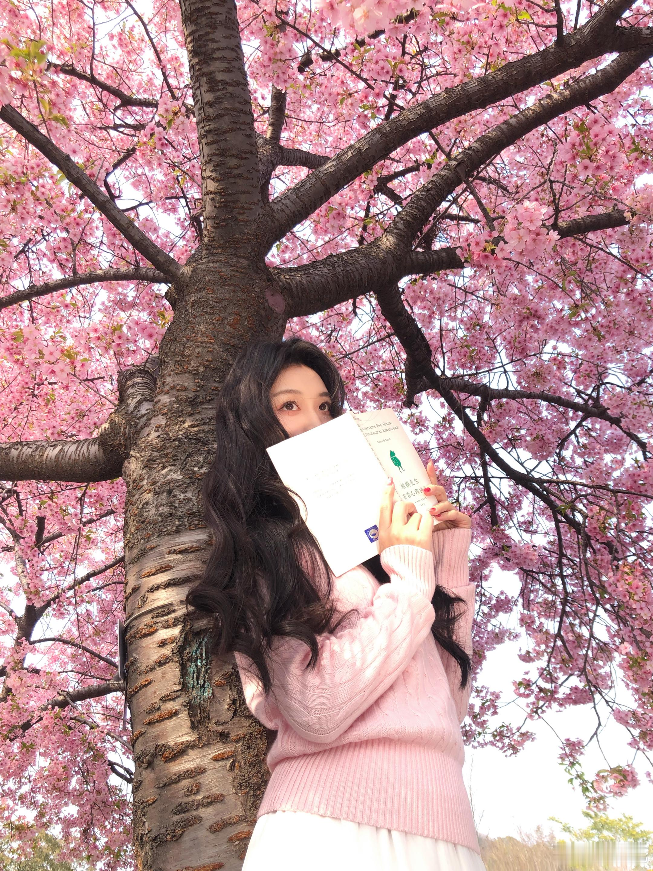 🌸樱花树下 