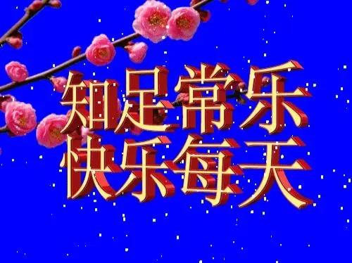 随心所欲，顺其自然吧！
