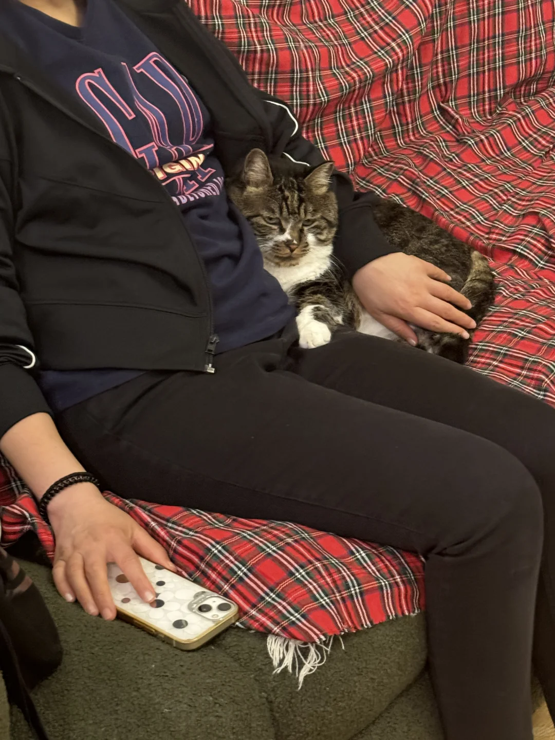 当小姨来我家撸猫 抓抓真的很争气！！