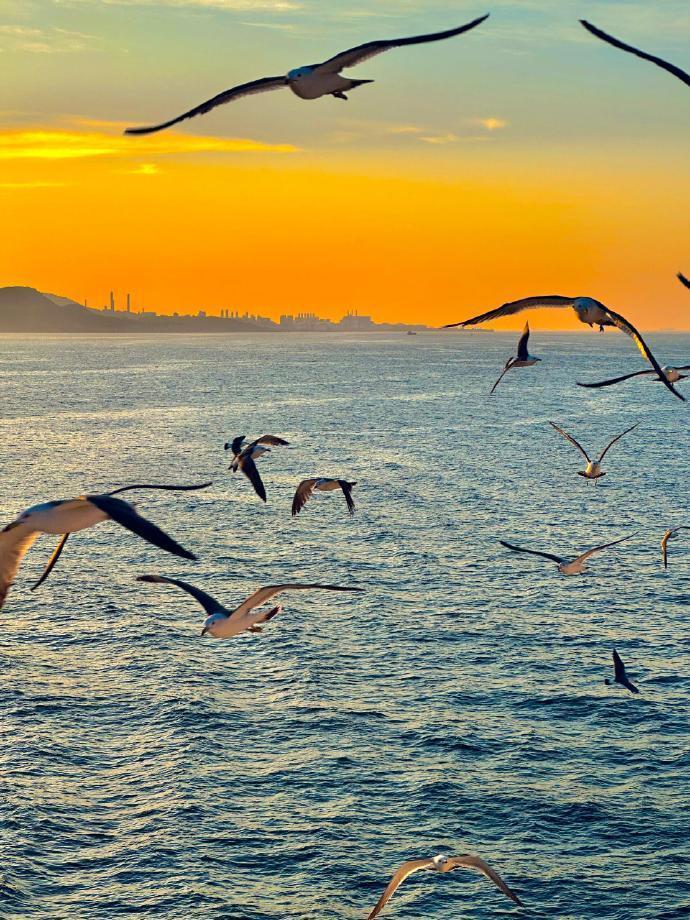 海  🌊 