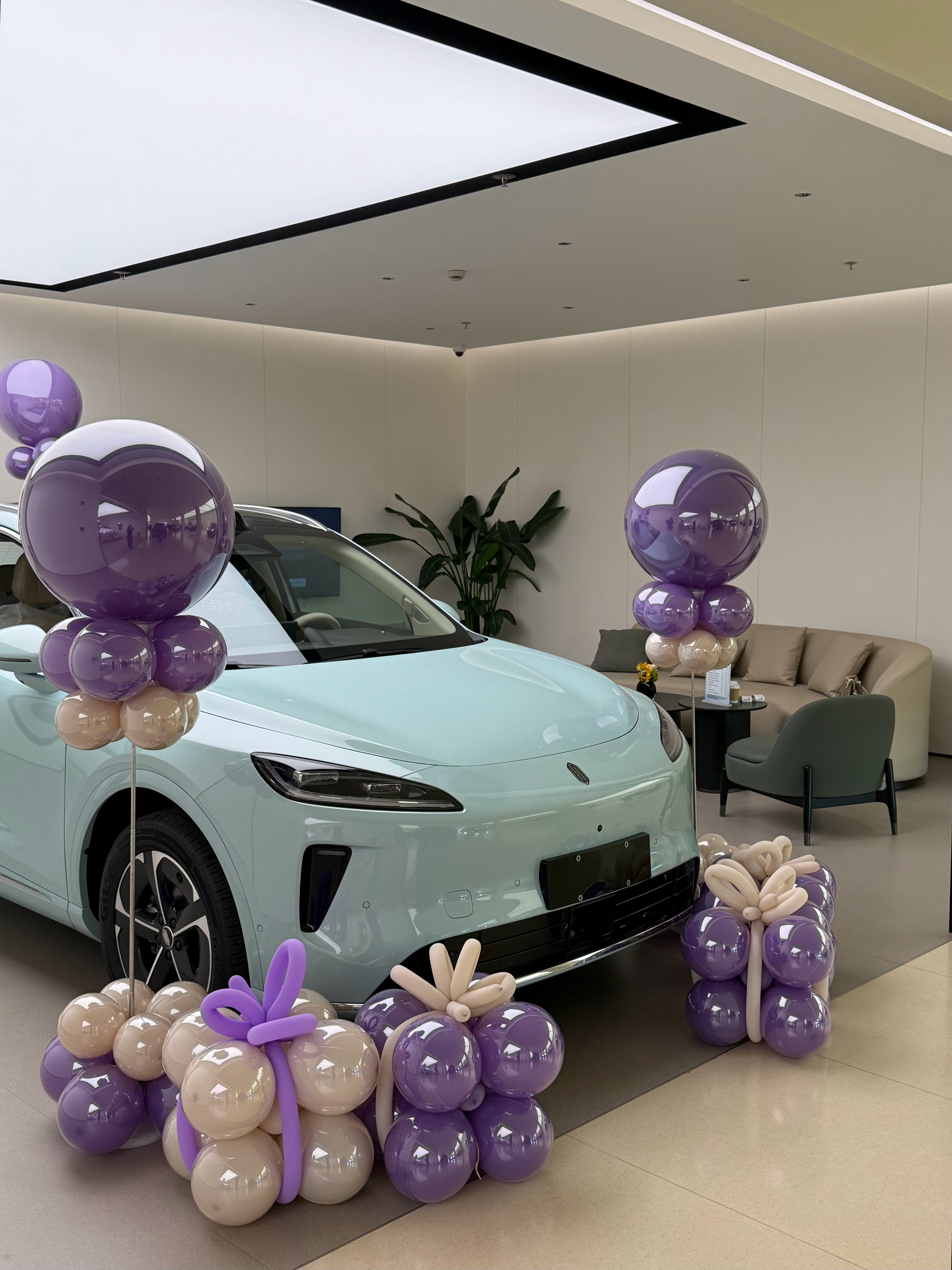 今天来验车，交付小哥很贴心给我布置了拍了几张美美哒照片坐等牌照额度审核，明天就可