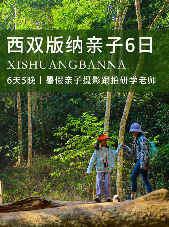 爆款回归！西双版纳亲子6日，暑假遛娃闭眼冲