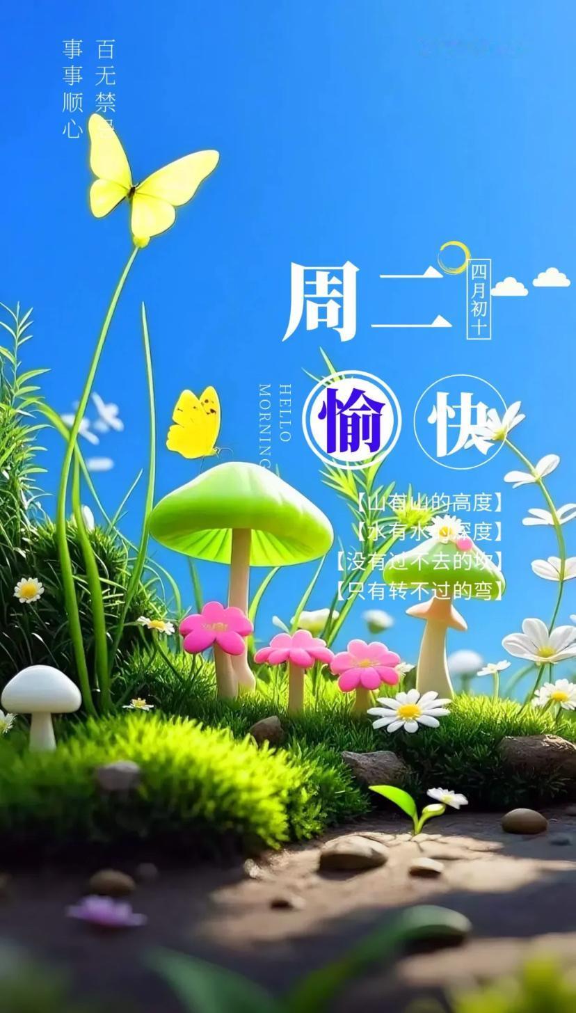 夏晨问安，晨光照拂心间暖，朝朝寄语送安康。
2026./5.26.
[微风][玫