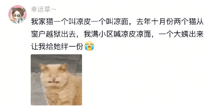 给自己小猫小狗取名真的不要取食物名，因为找他们的时候，容易被小区的居民误会[允悲