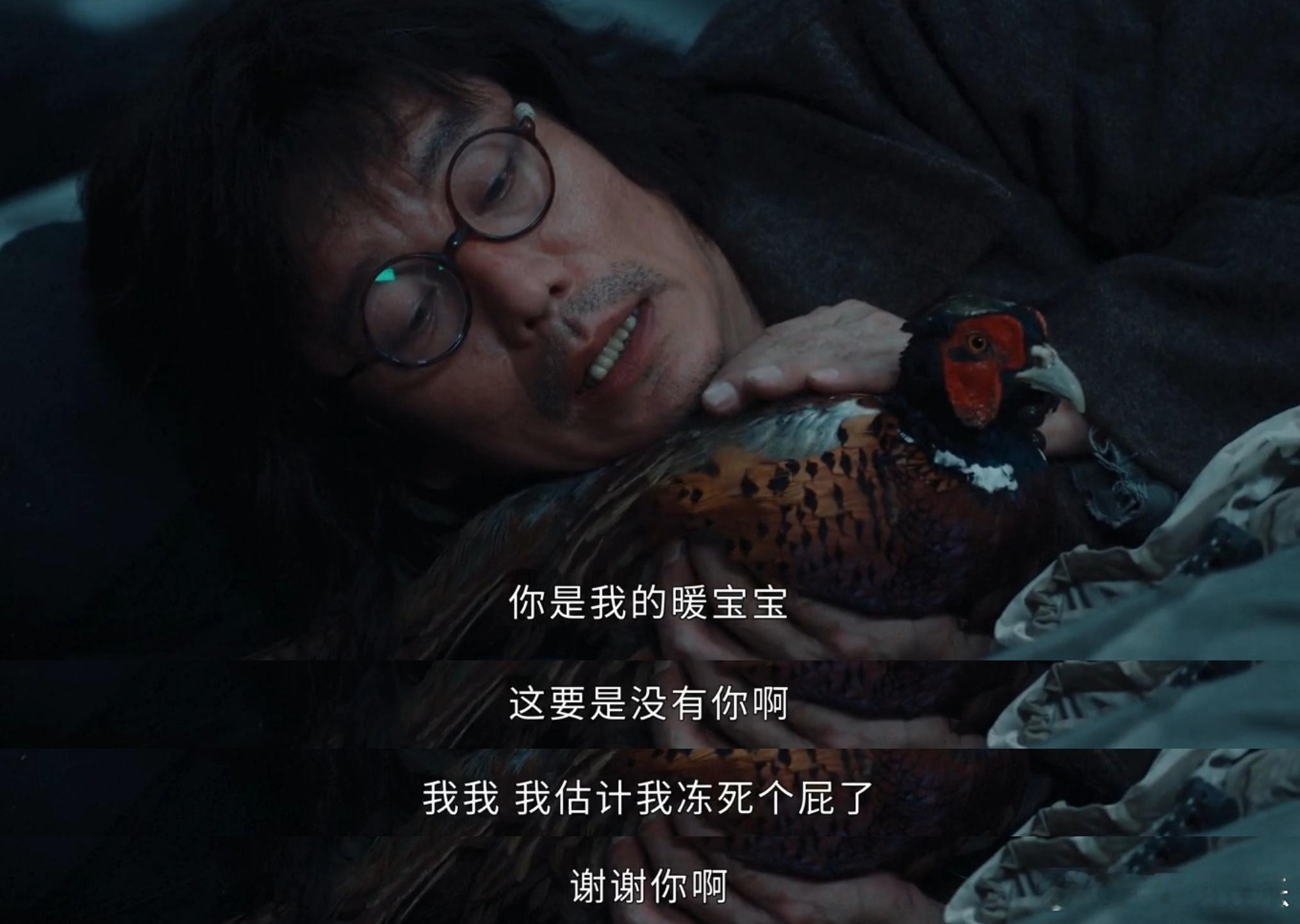 七根心简全场mvp是一只鸡 被《七根心简》的曹放放帅到了！从机智认主到勇斗强敌，