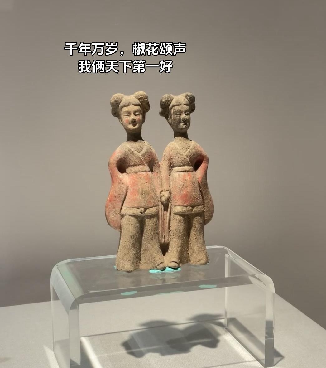 北魏姐妹花，这件快乐文物的背后，实际并不是一个快乐故事。 墓主人，杨机...