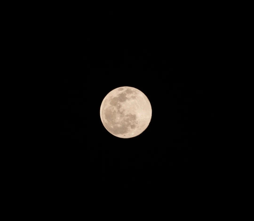 ²⁰²³/₀₉.₂₉🌓🌔🌕🐇🌙✨🥮愿所得皆所期，所失亦无碍。#中秋快