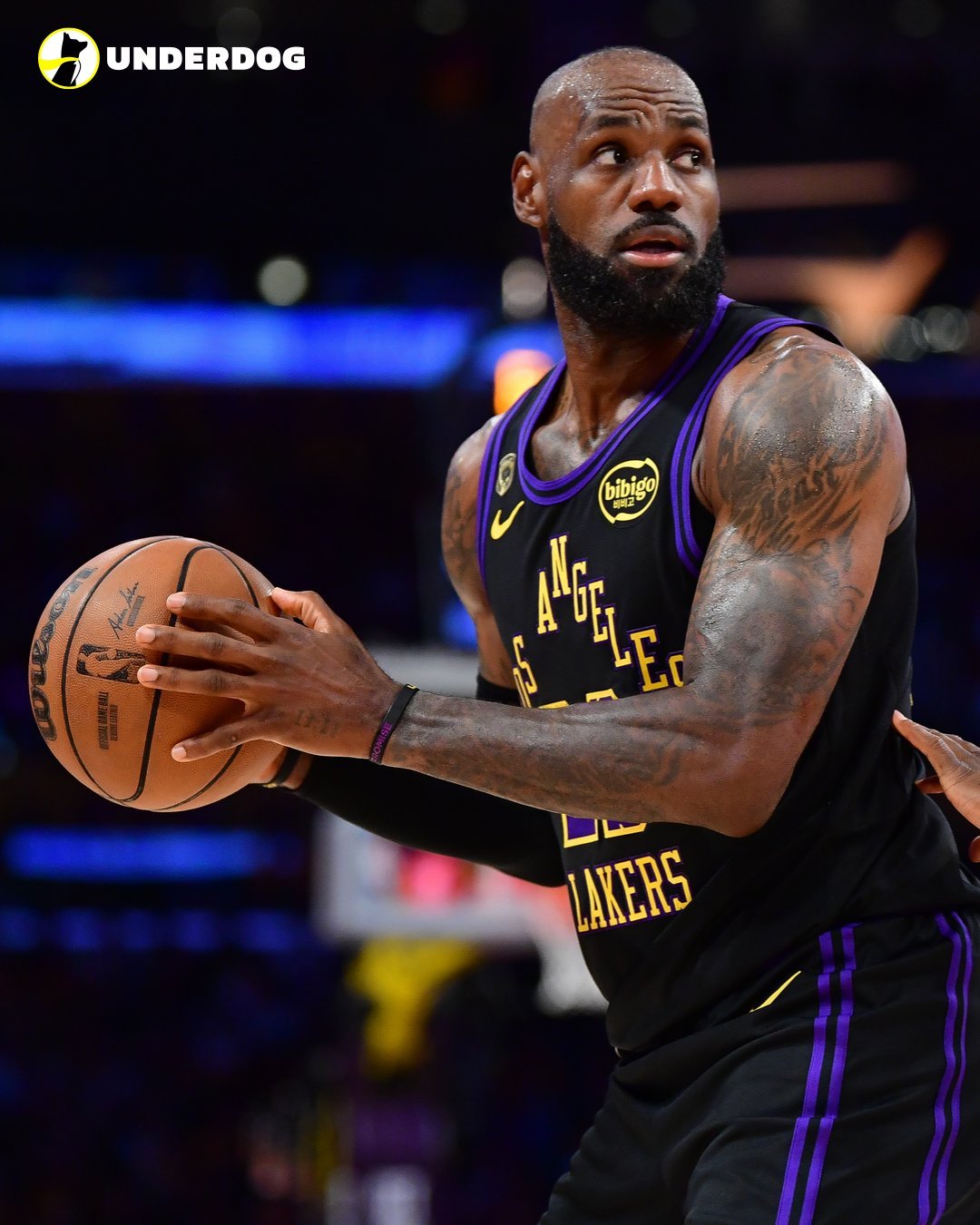 勒布朗·詹姆斯在湖人队8个赛季：8x All-Star7x All-NBA202