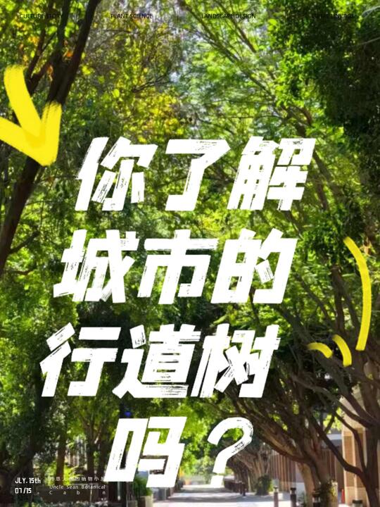 上海植物园课程：行道树的秘密生活