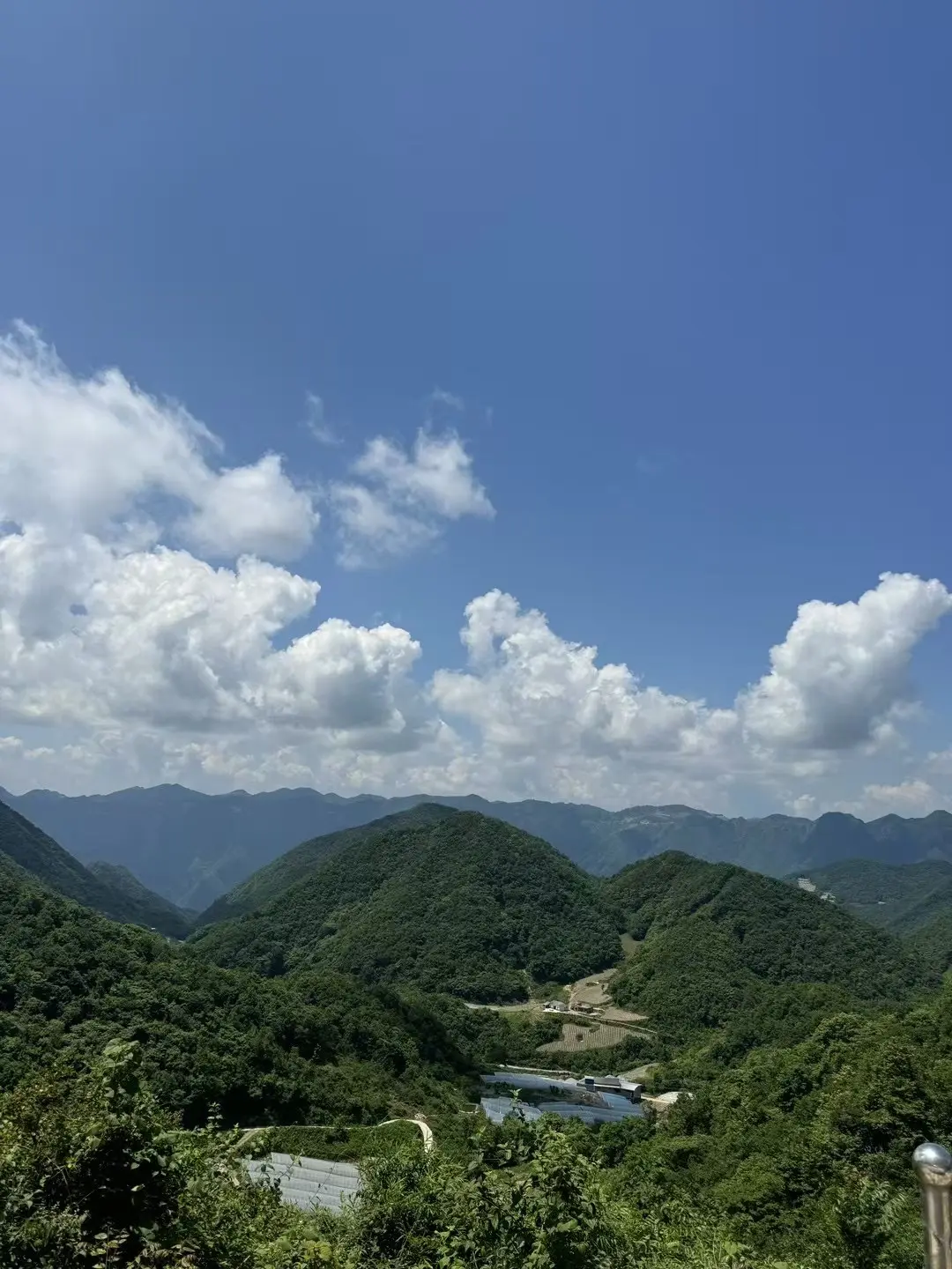 热门火锅 老重庆火锅 平价火锅 川渝火锅推荐 生活不易爱心传递