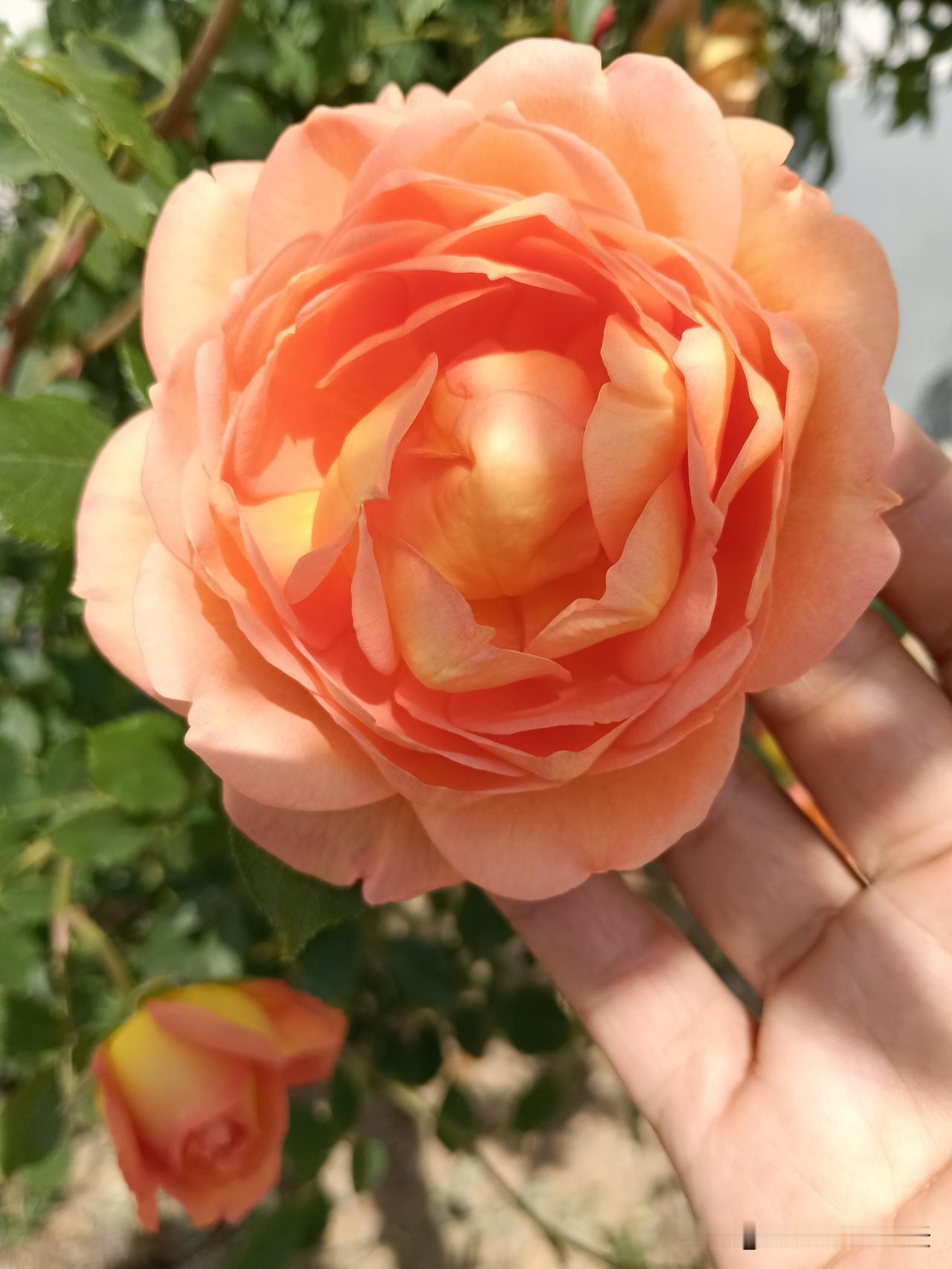 男性在喝酒时，尽量少吃这5种下酒菜，尤其第一种，一定要忍住
1、油炸花生米；
2