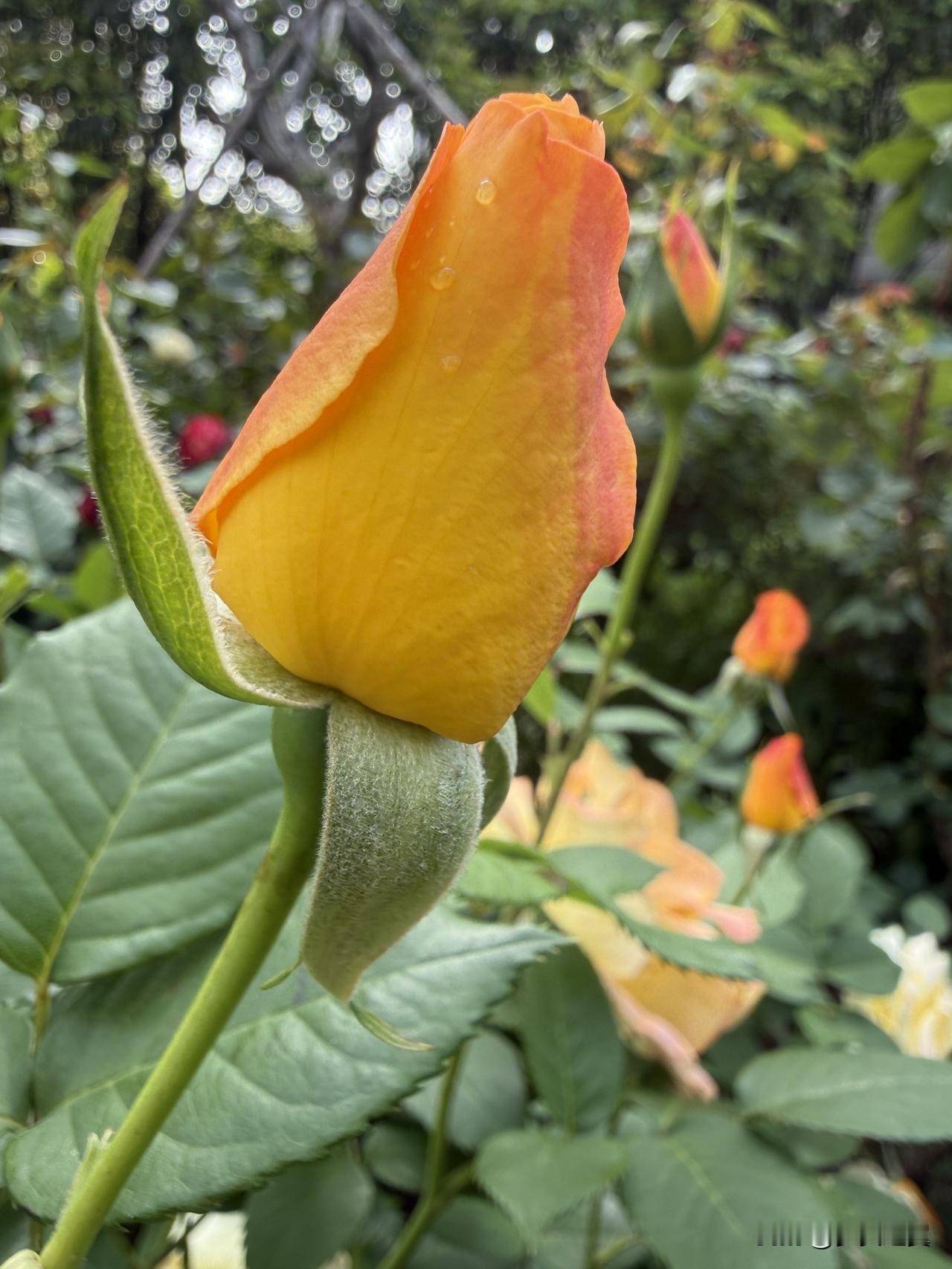 女孩子怎么穿搭既时尚又好看? 
【小对联】
上：……？
下：水灵。