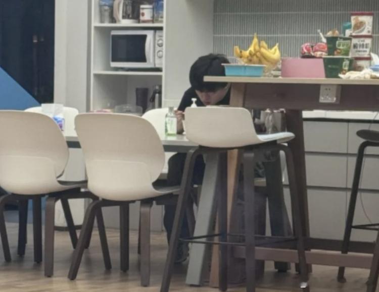 Elk吃药睡觉了，打游戏的Shadow三天没出门，Knight和Wayward约