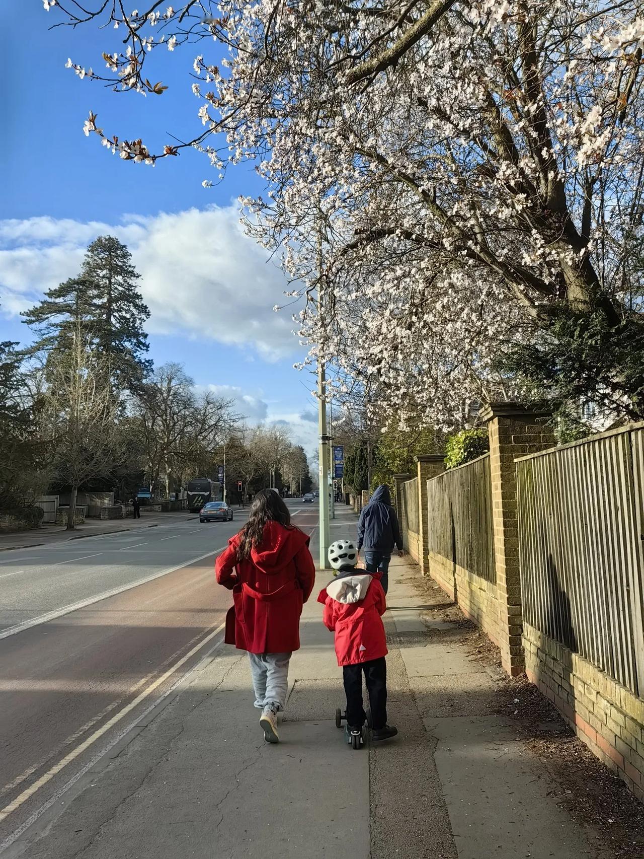 这些年在与孙子、孙女相处的过程中，我始终掌握一个原则，孩子的管教是父母的责任，我