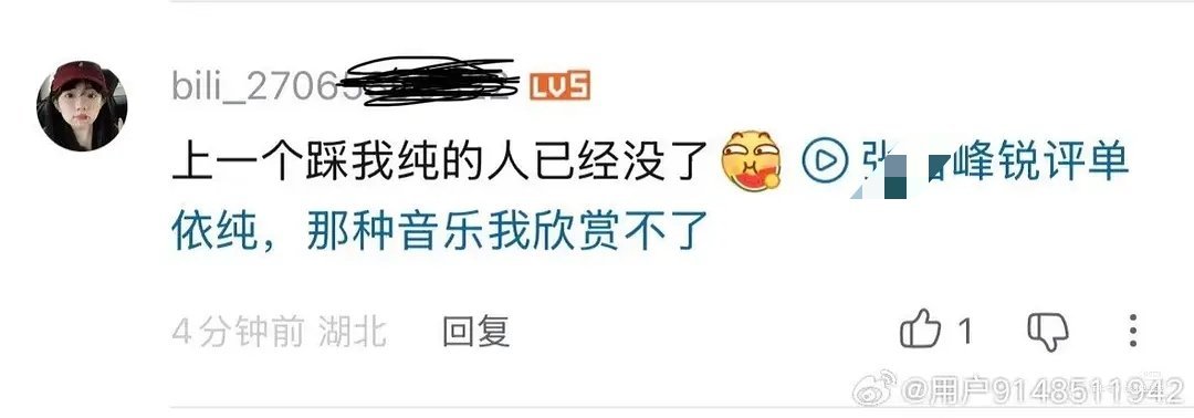 ？积点德吧就这样 然后呢单依纯 错误全在我李荣浩 中译中