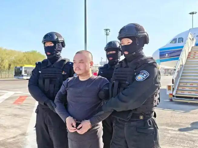 大快人心！

就在刚刚，据中国央视新闻报道：星期三（4月1日），在柬埔寨有关部门