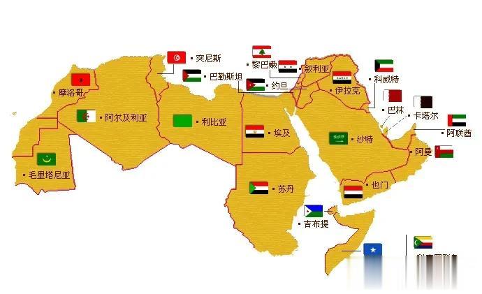 中东这些阿拉伯国家，包括非洲在内再不团结，继续甘当走狗，将永远摆脱不了当奴隶的命