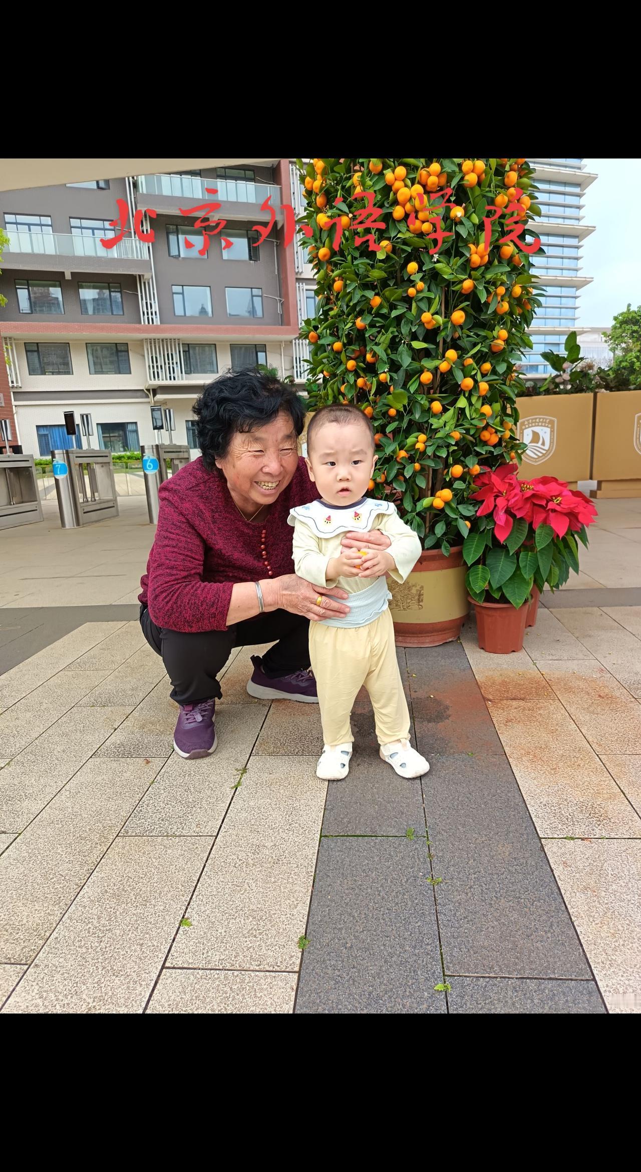 北京外语学院，隔辈亲一一