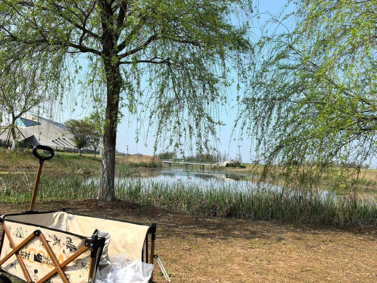 站桩让生活更美好
    站桩锻炼是一种静动相结合的运动方式，站桩时，心随意动，