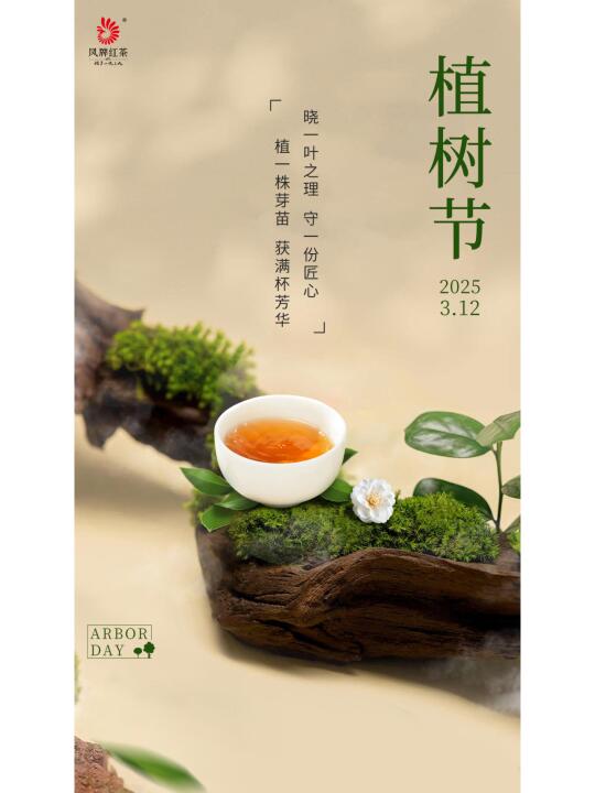 植一颗芽苗，获满杯芳华