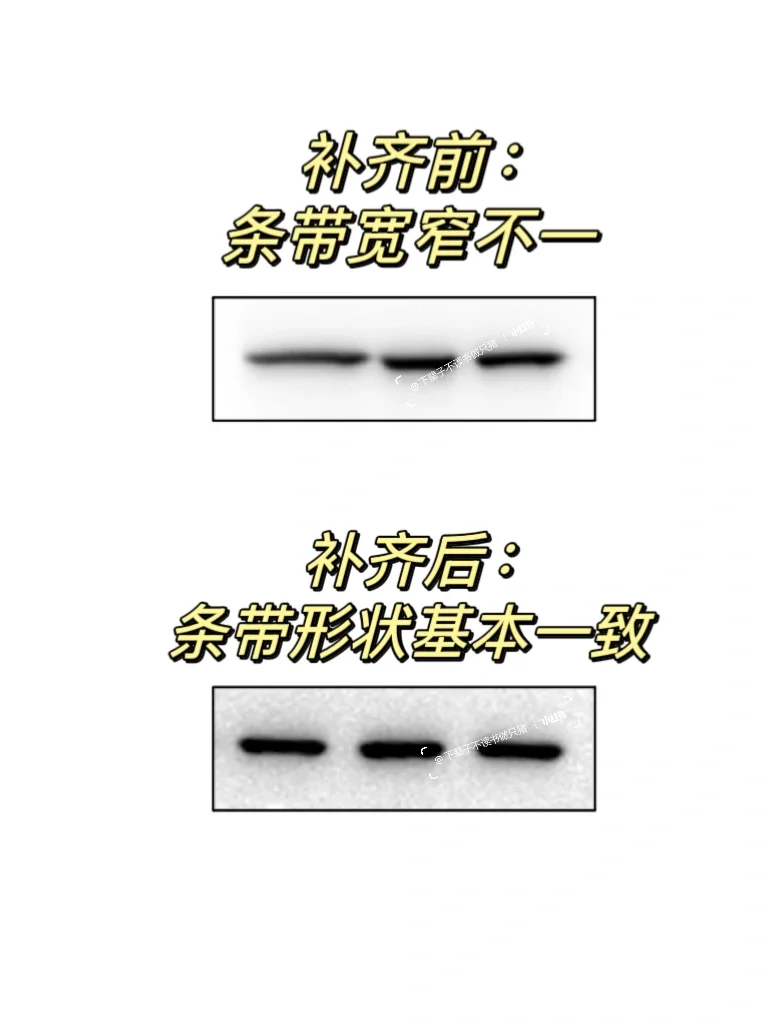 western条带宽窄不一，如何解决❓
