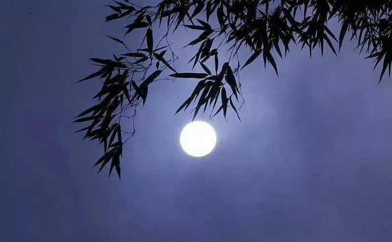 “  万籁无声秋夜静 ...  ” 