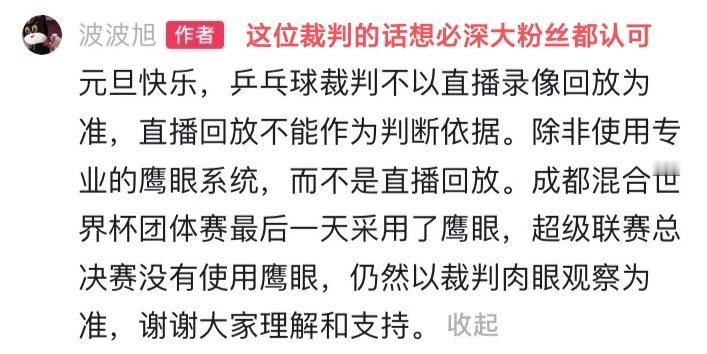 【决赛没有鹰眼，仍然以裁判肉眼观察为准】很难理解吗？居然出现了裁判长下场干预场上