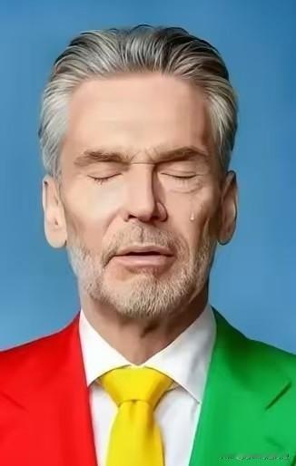 荷兰安世宣布，中国子公司正式换国内供应商，不再合作。安世中国致信分销商，宣布与三