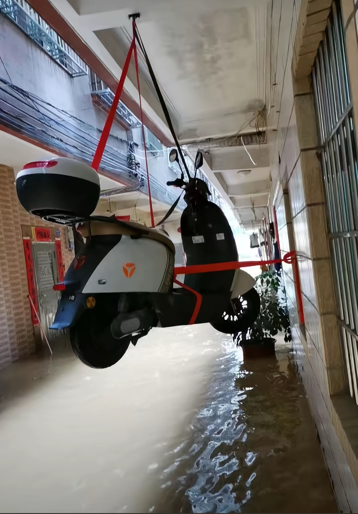 电动车🛵是保住了 ​​​