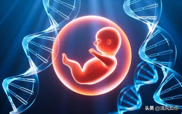 著名专家：试管婴儿寿命仅40年，那首例试管婴儿如今怎么样了