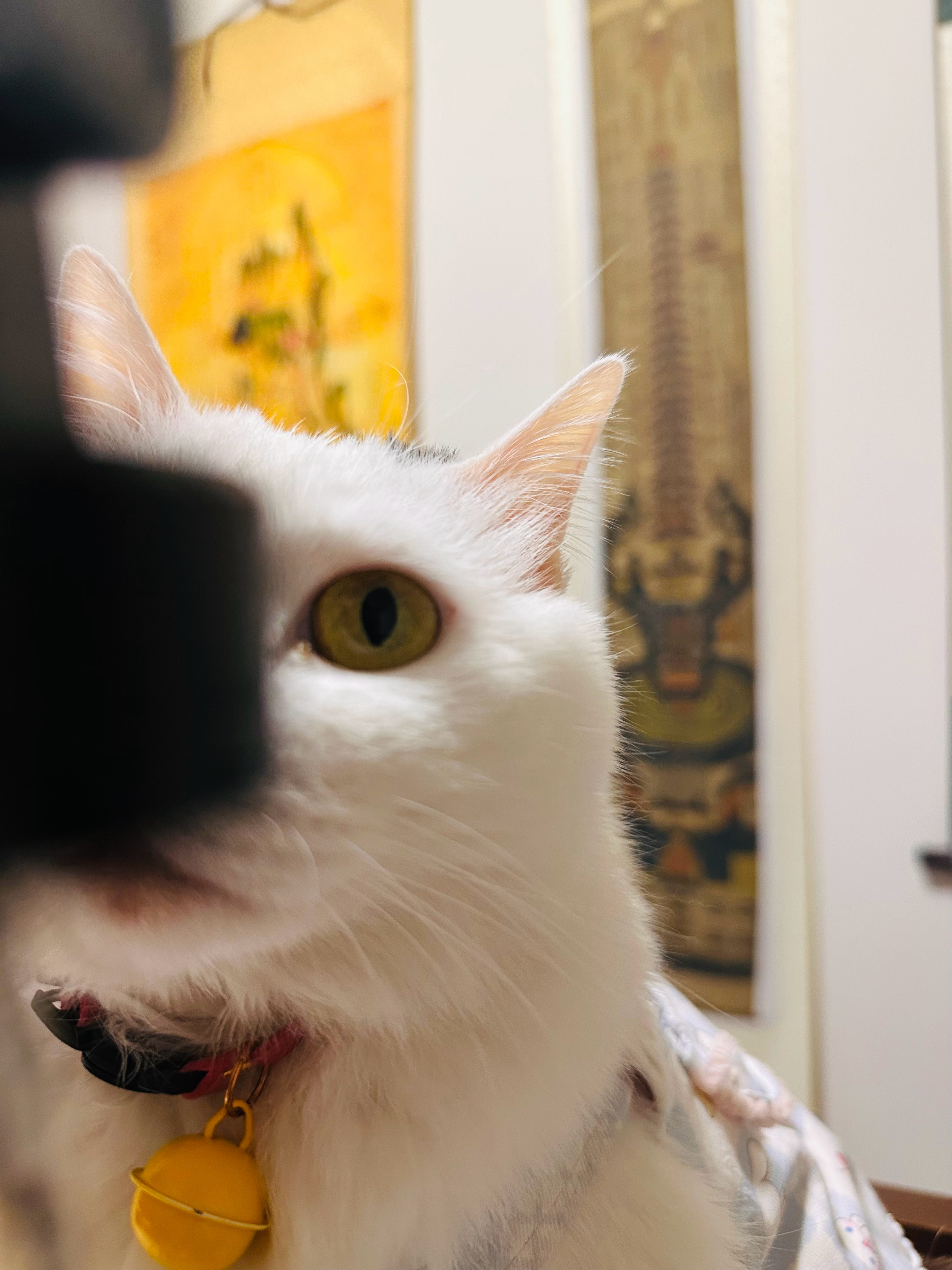 不是成就什么，而是，不再假装那个所不是的。恢复，更恰当，恢复觉照、恢复清明、恢复