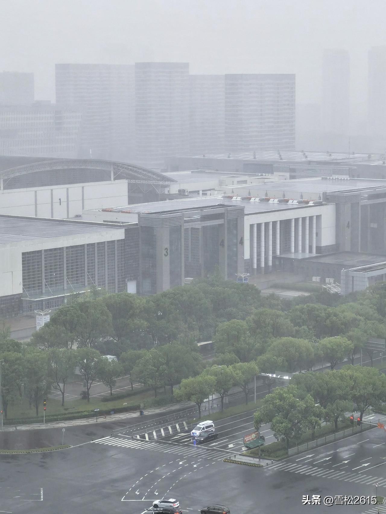 台风天，世界都清凉了

昨日的“白海豚”台风裹挟着疾风暴雨，狠狠清洗了这座城一整