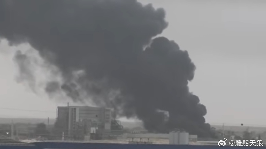 以色列中资化工厂区遭飞弹碎片击中起火 黑烟滚滚窜出以色列消防与救援部门3月29日