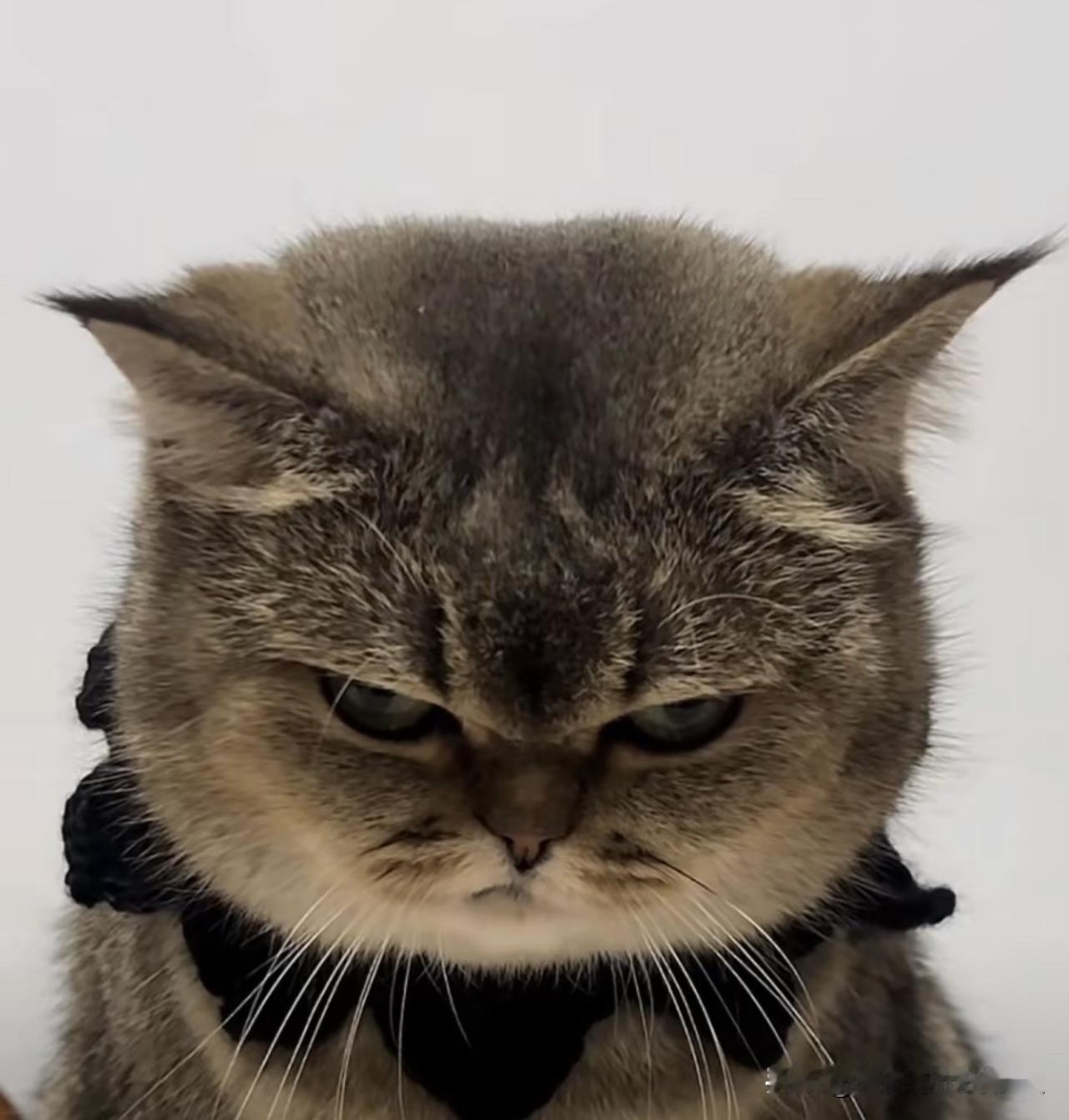 上午10:27， A股早盘全线翻绿，银行保险半导体板块走强，指数探底回升，接下来