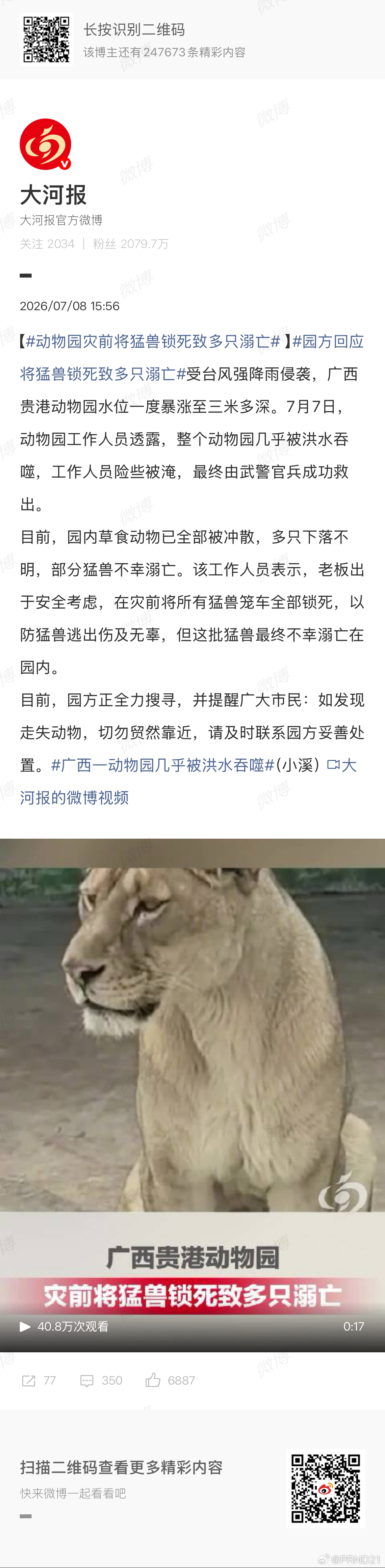 动物园灾前将猛兽锁死致多只溺亡 猛兽没逃逸，对受灾群众来说威胁为0，也算是最安全