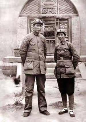 你这段文字既贴合毛主席对贺子珍的情感评价，也契合贺子珍早年的出身与气质，而贺子珍